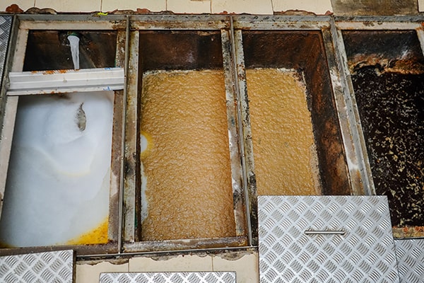 professional grease trap maintenance typically includes inspection, pump out, cleaning, and disposal of grease and waste